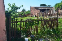 Nenão pede limpeza de terreno